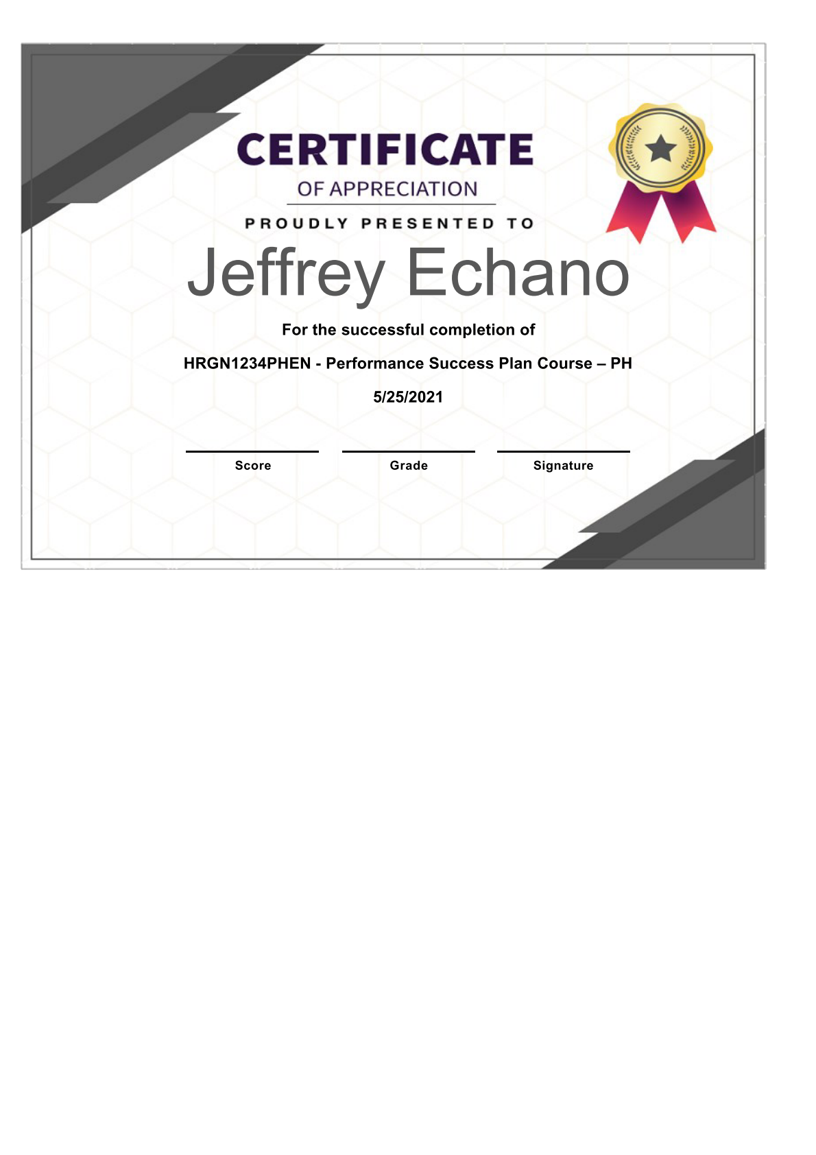 Performance Success Plan Course - PH