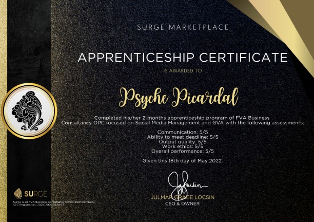Apprenticeship for Social Media Management & Marketing and General Virtual Assistance