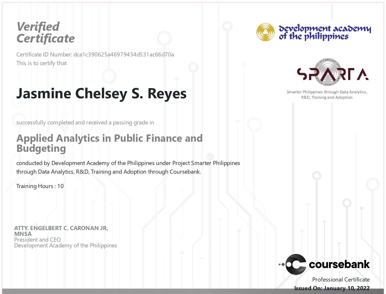 Applied Analytics in Public Finance and Budgeting