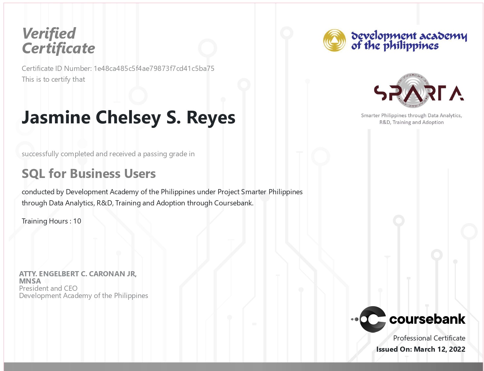 SQL for Business Users