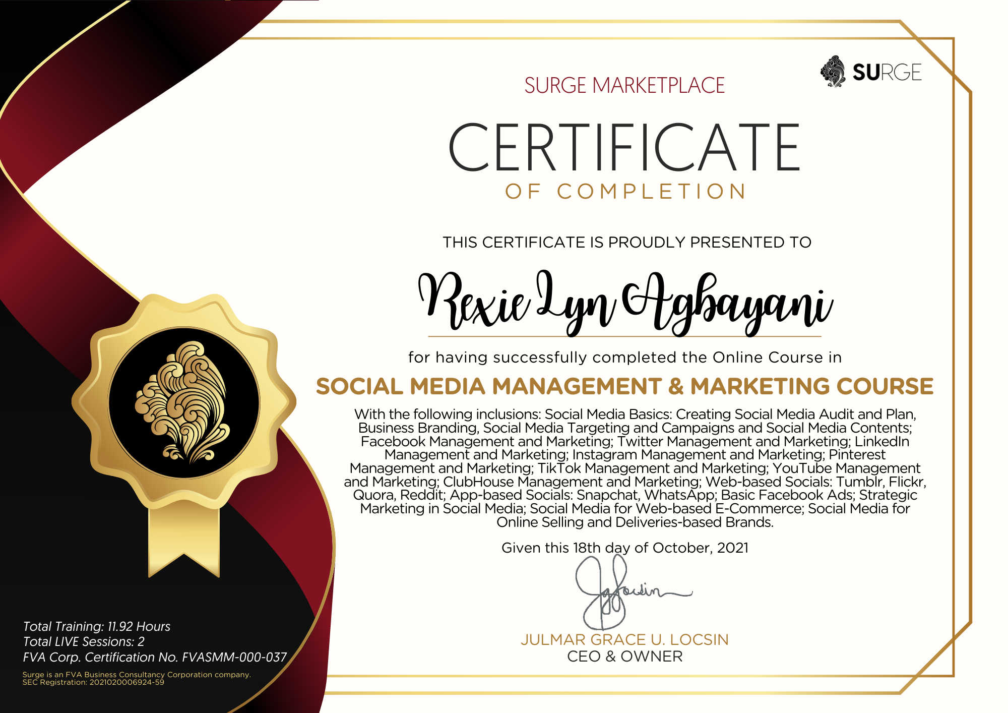 Social Media Management & Marketing Course