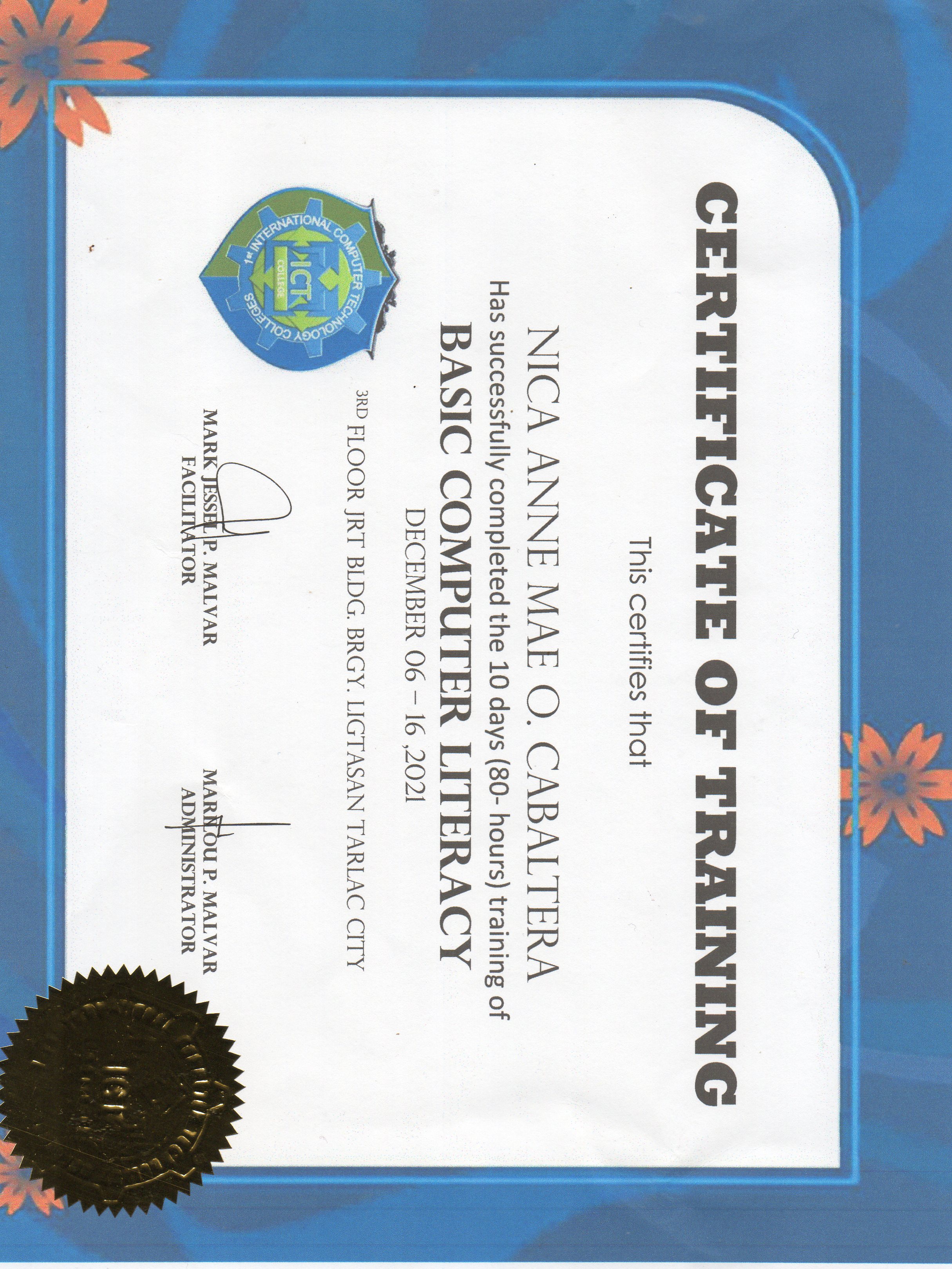 Basic Computer Literacy