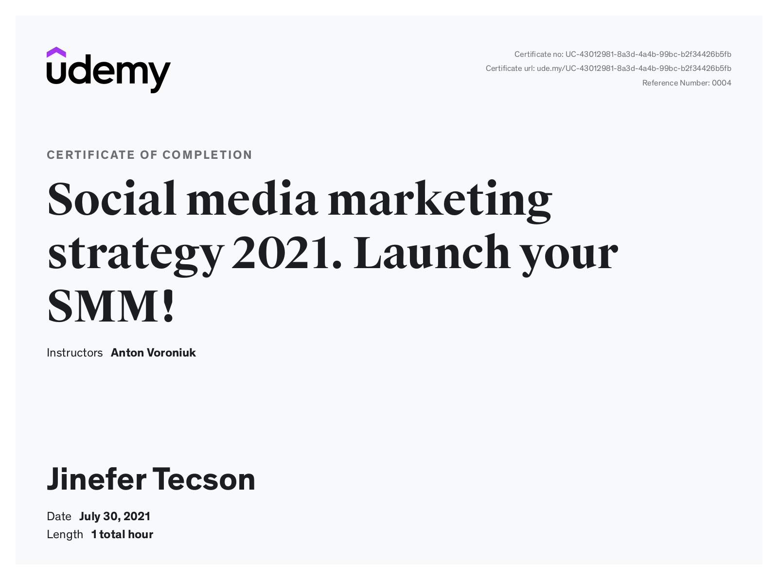 SMM Strategy 2021