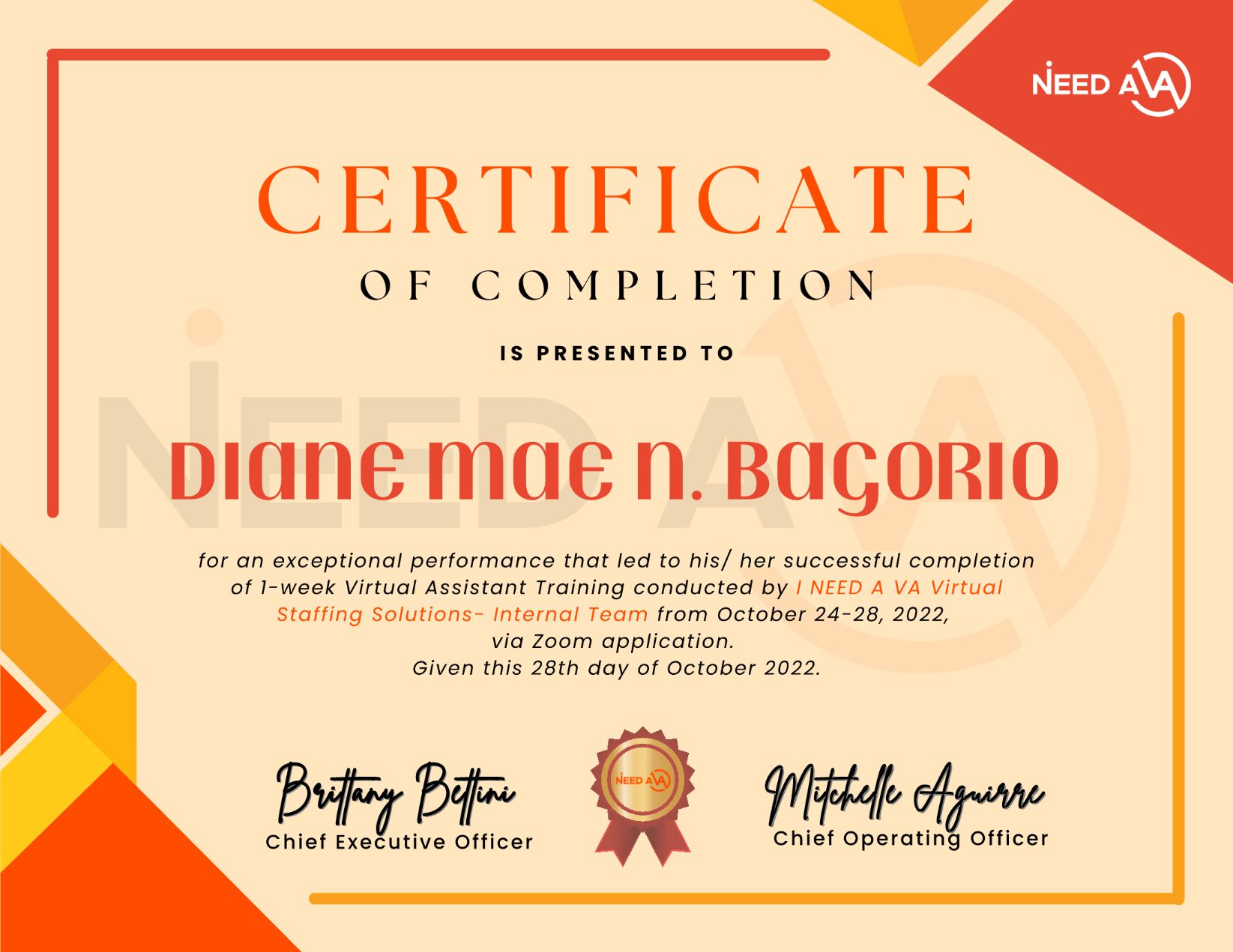 INeedAVa - Certificate