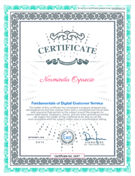 Fundamentals of Digital Customer Service