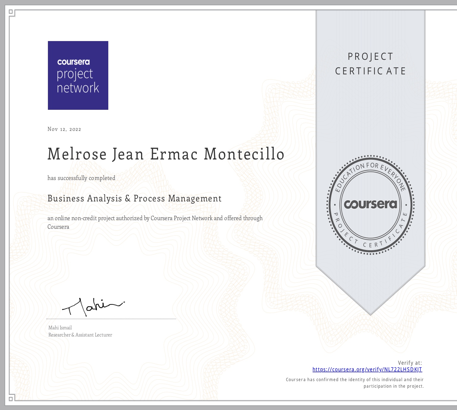 Business Analysis and Process Management