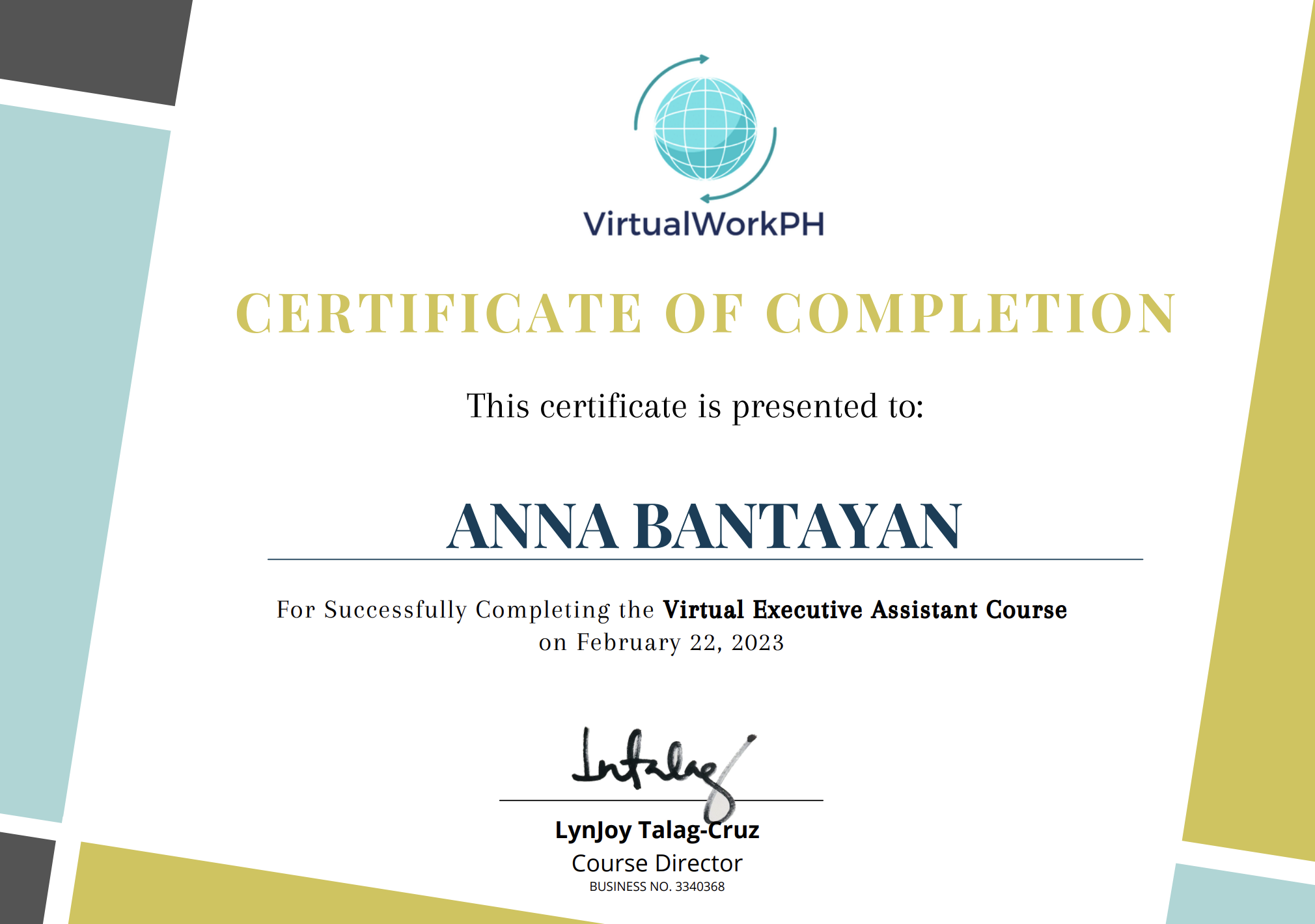 Executive Virtual Assitant