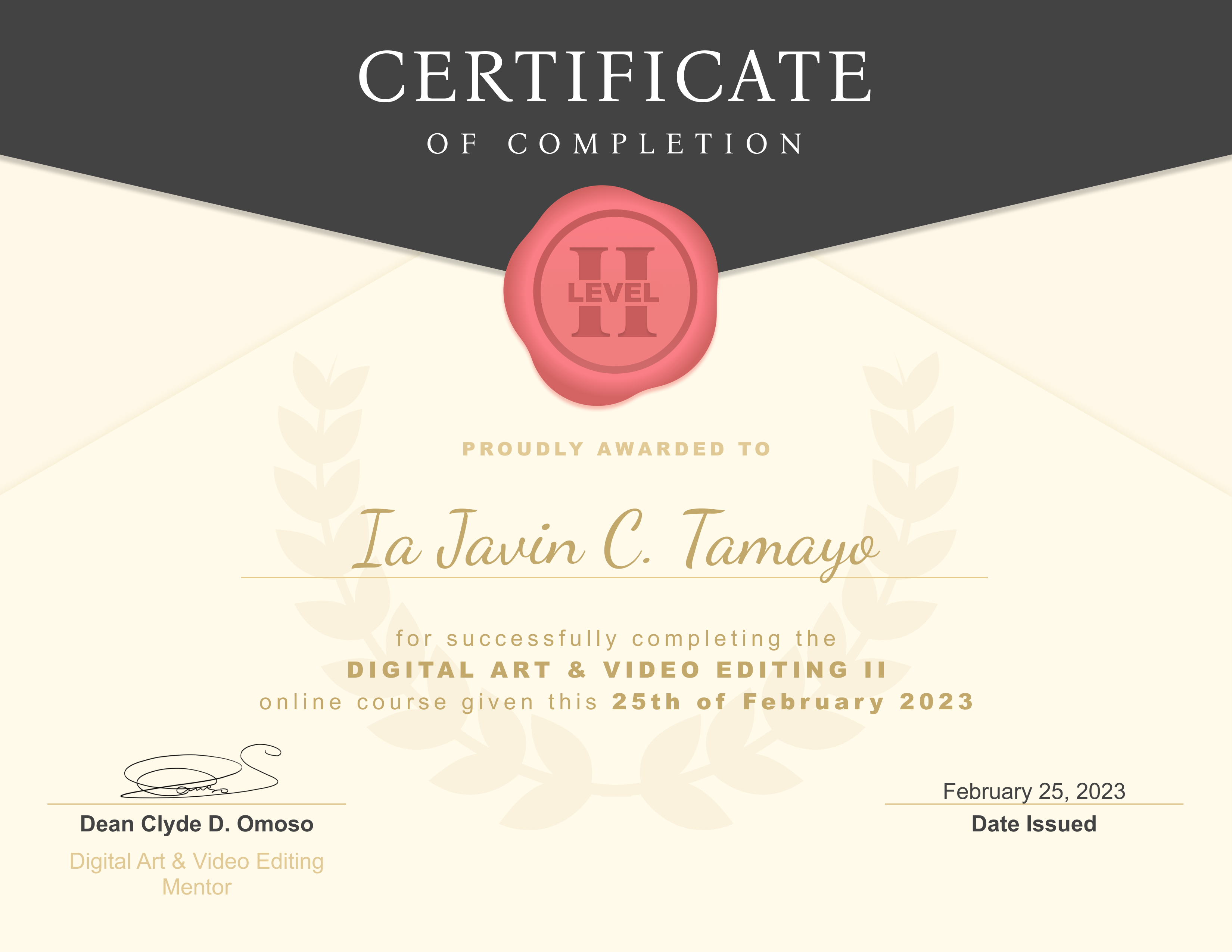 Level II Digital Art & Video Editing Certificate