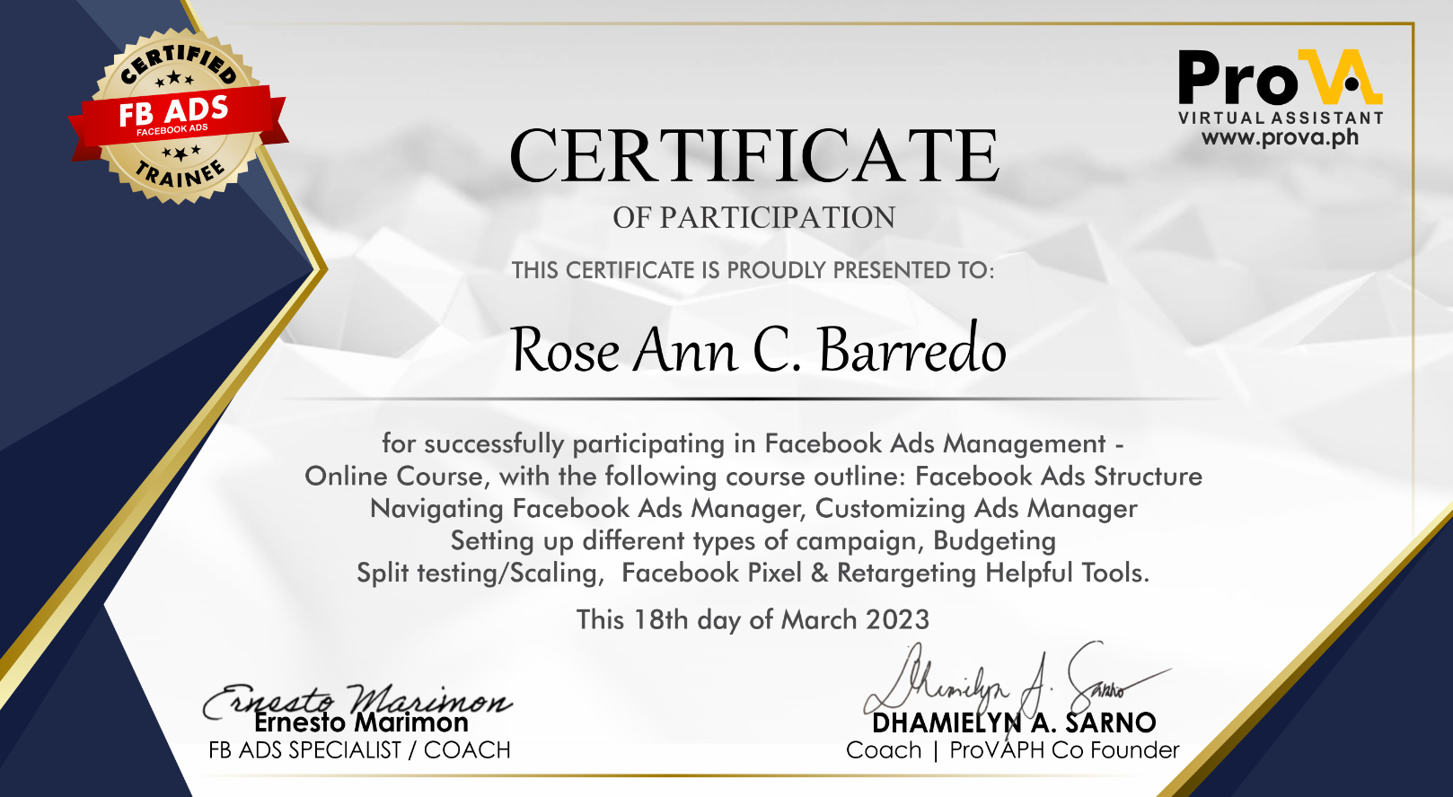 Facebook Ads Management