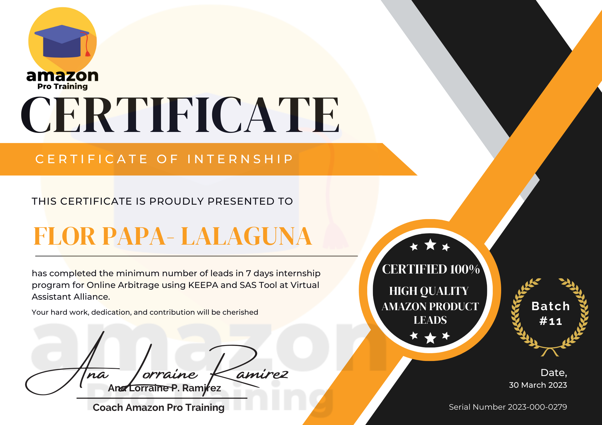 Amazon Pro Training Internship