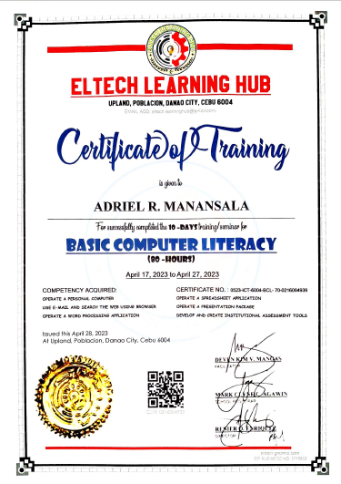 Basic Computer Literacy