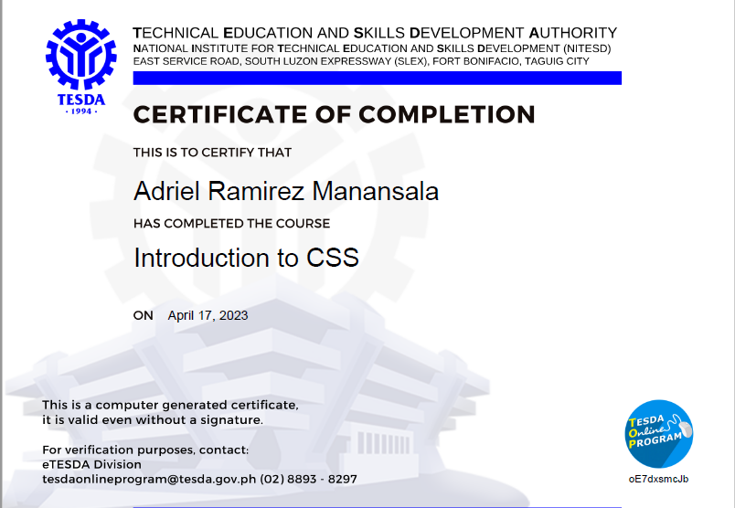 Computer System Services