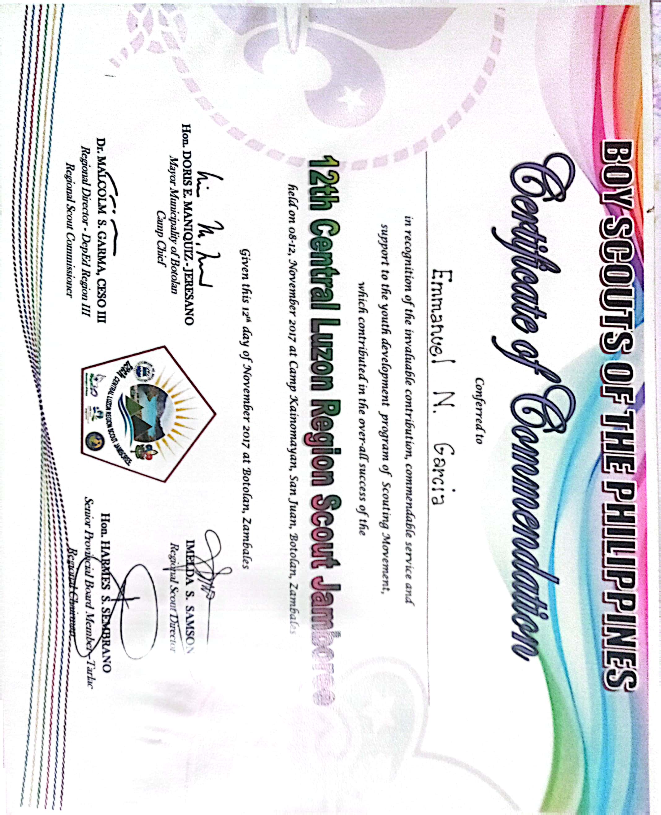 BOY SCOUTS OF THE PHILIPPINES (MEMBER, COUNCIL YOUTH PROGRAM TEAM)