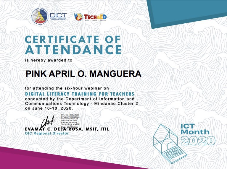 Digital Literacy Training for Teacherss