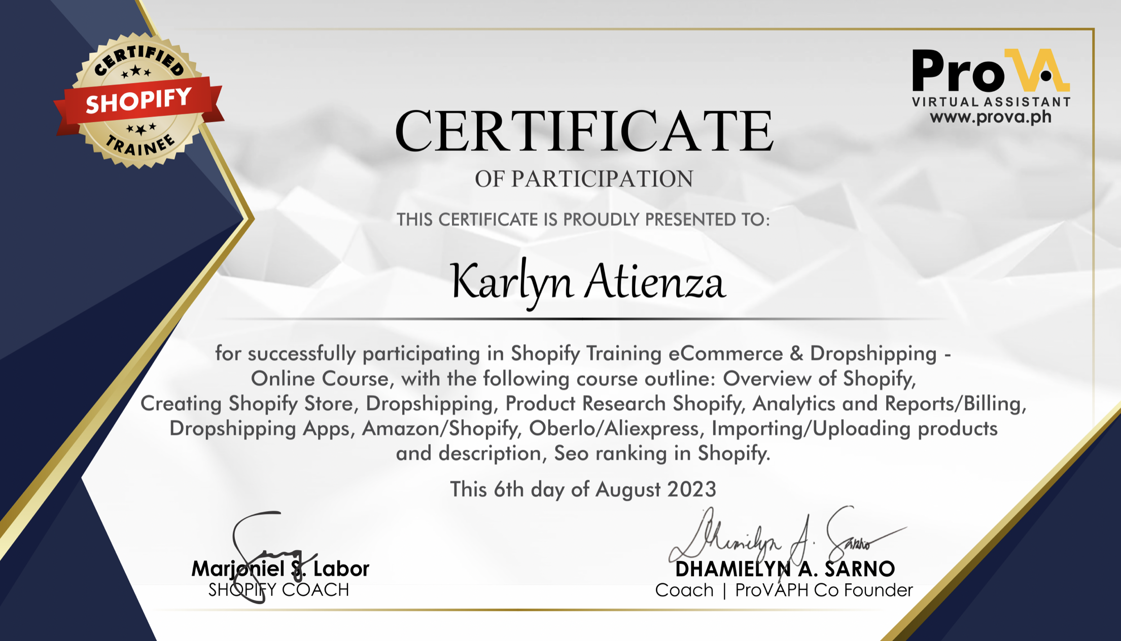 Shopify Training Ecommerce and Dropshipping