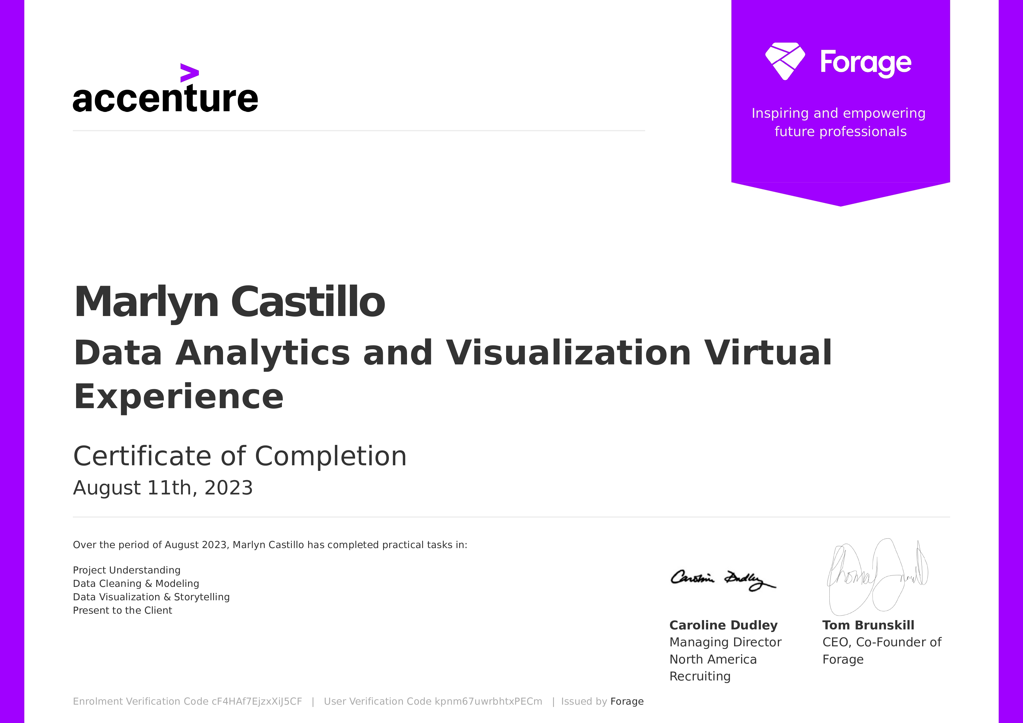 Data Analytics and Visualization Virtual Experience