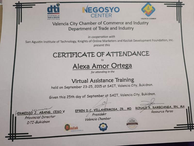 Virtual Assistance Training