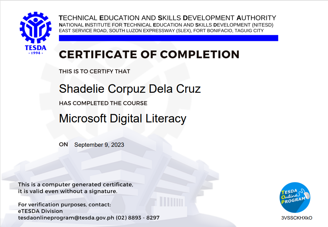 Microsoft Digital Literacy