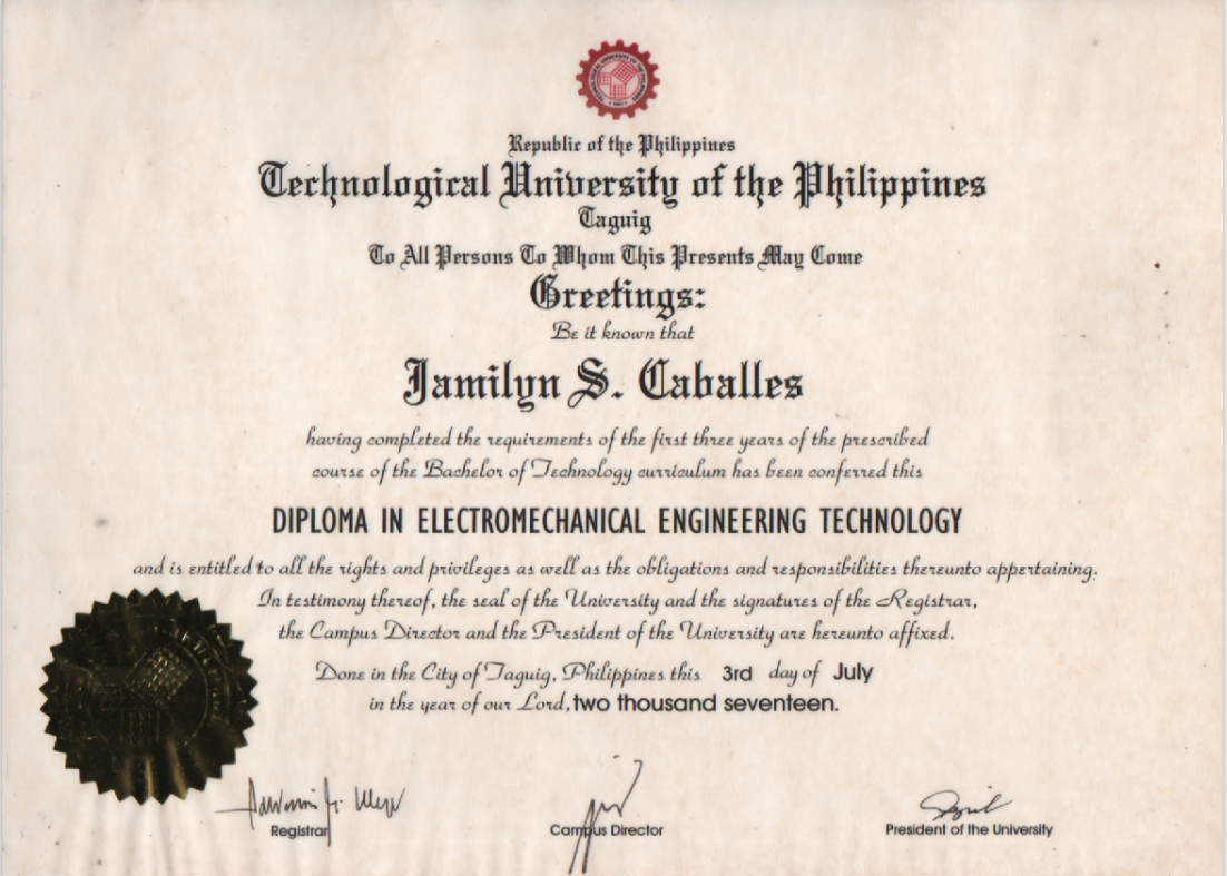 Collage Diploma 2017