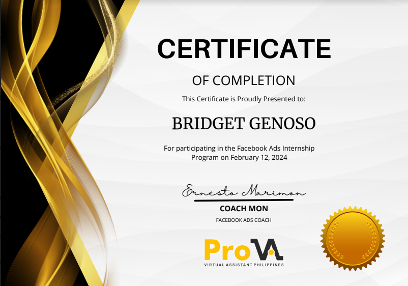 Facebook Ads Internship