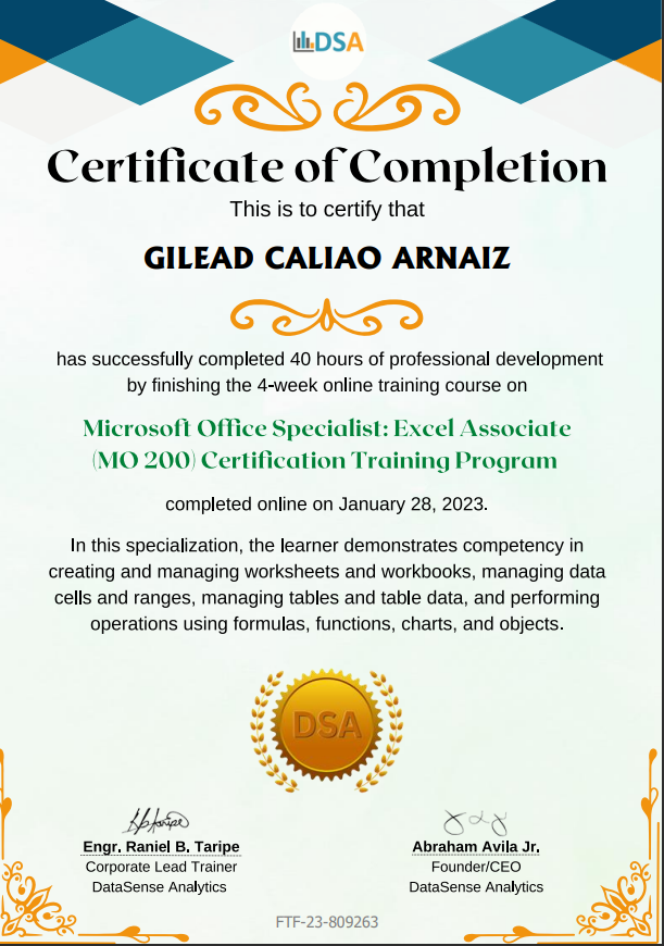 MO 200 Excel Certification
