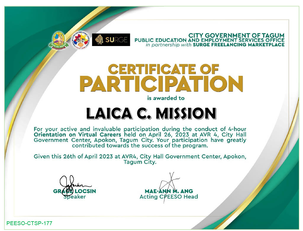 Orientation on Virtual Careers