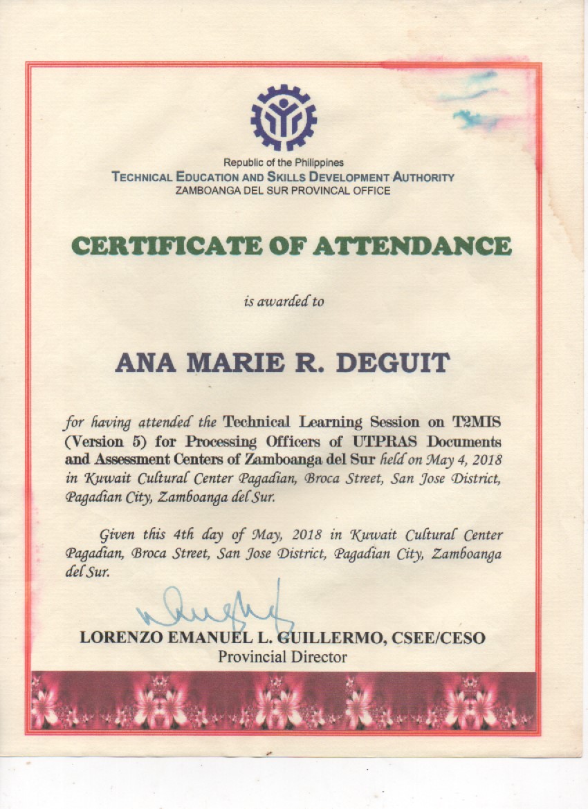 t2mis version 5 session