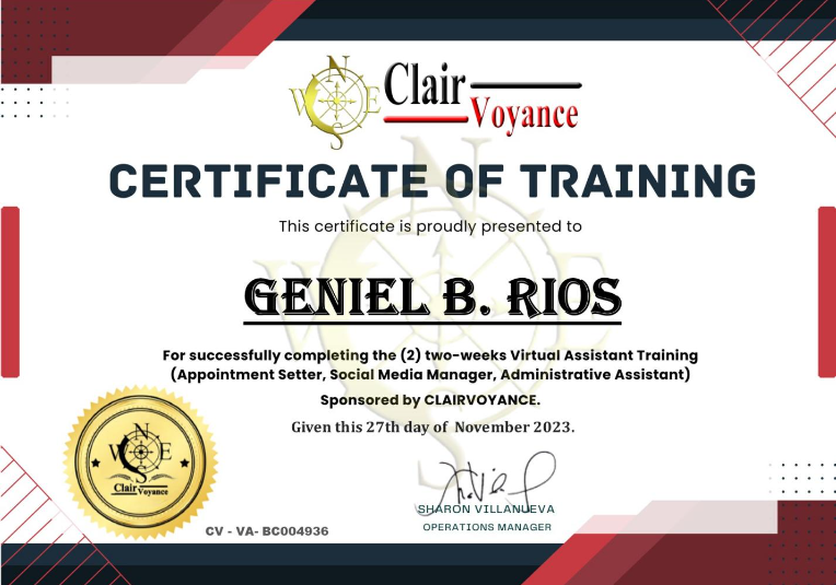 Virtual Assitant Training