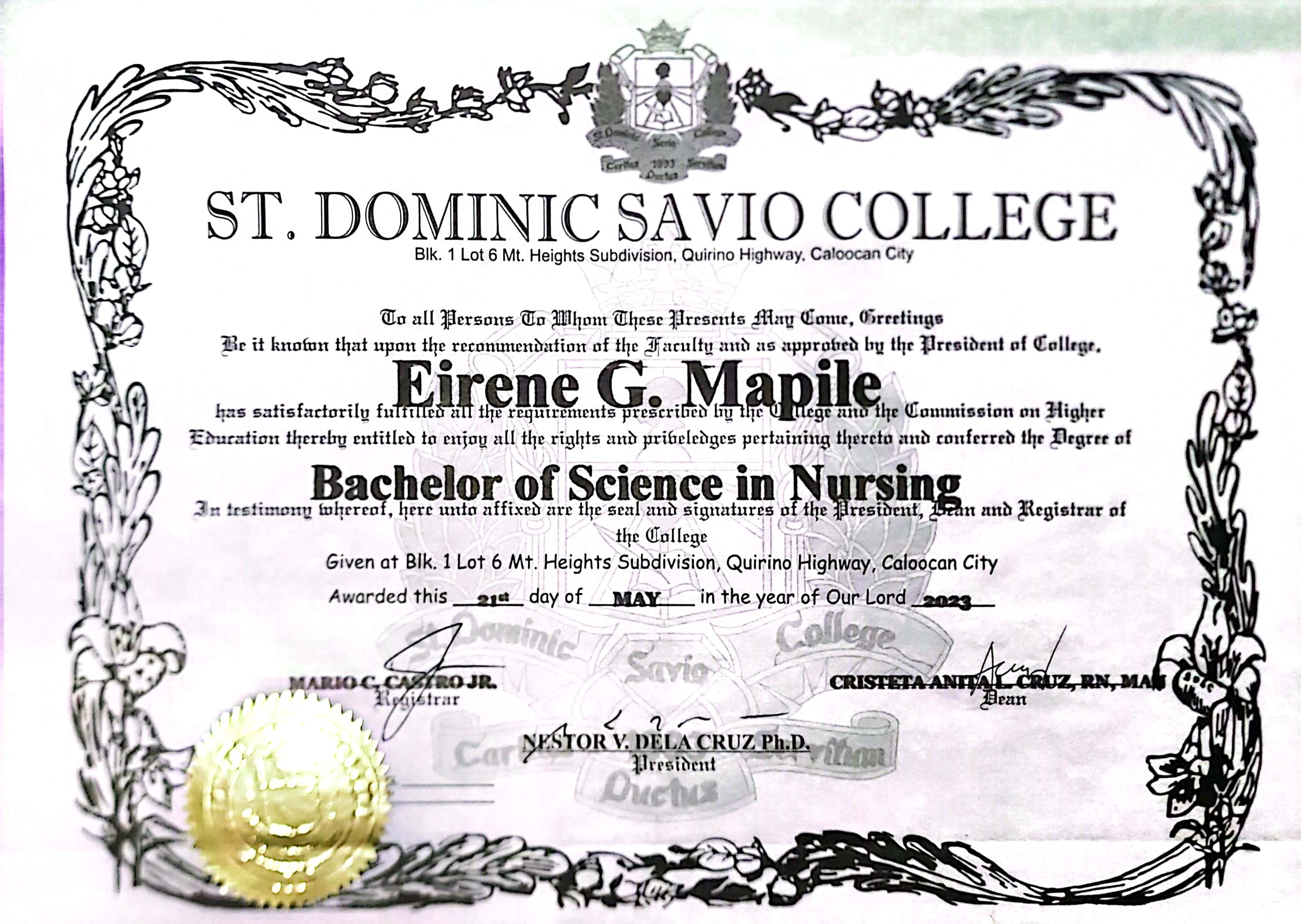 Diploma BS Nursing