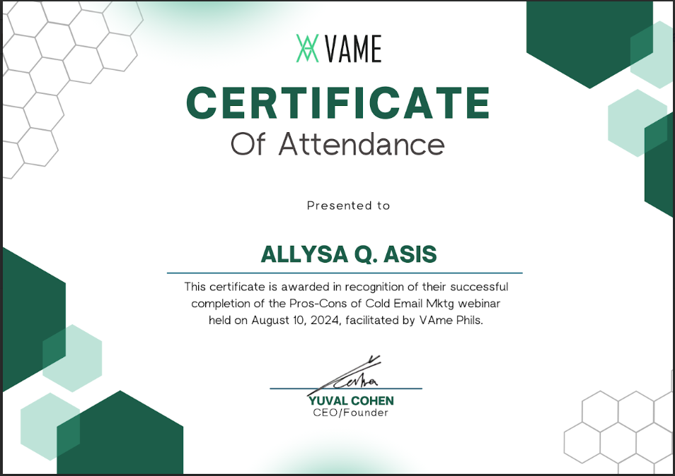 VAME Pros-Cons of Cold Email Marketing