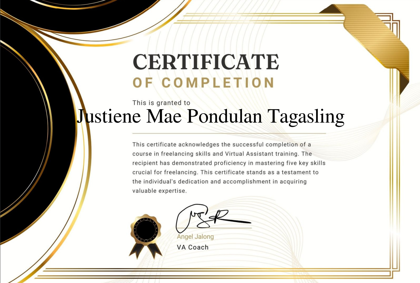 Virtual Assistant Training