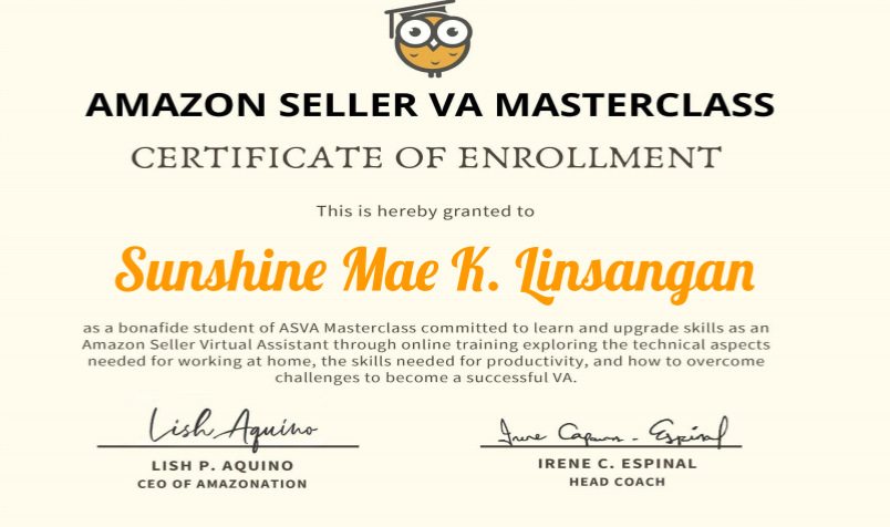 Amazon Seller VA Masterclass