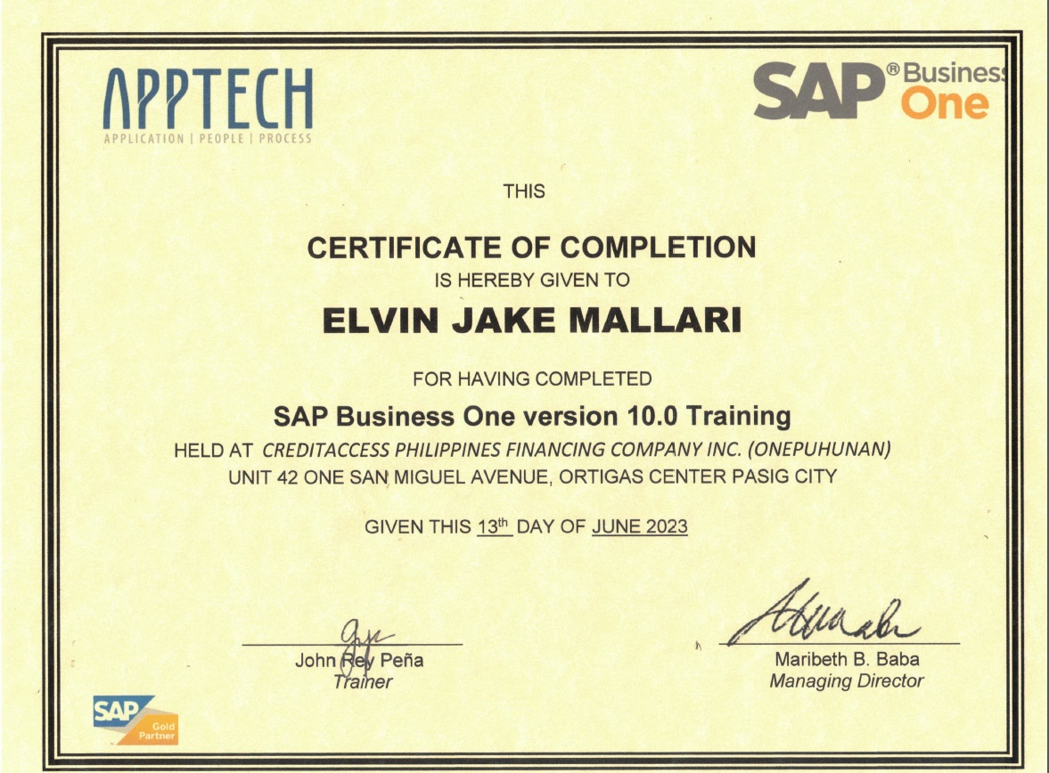 SAP Business One version 10.0 Training