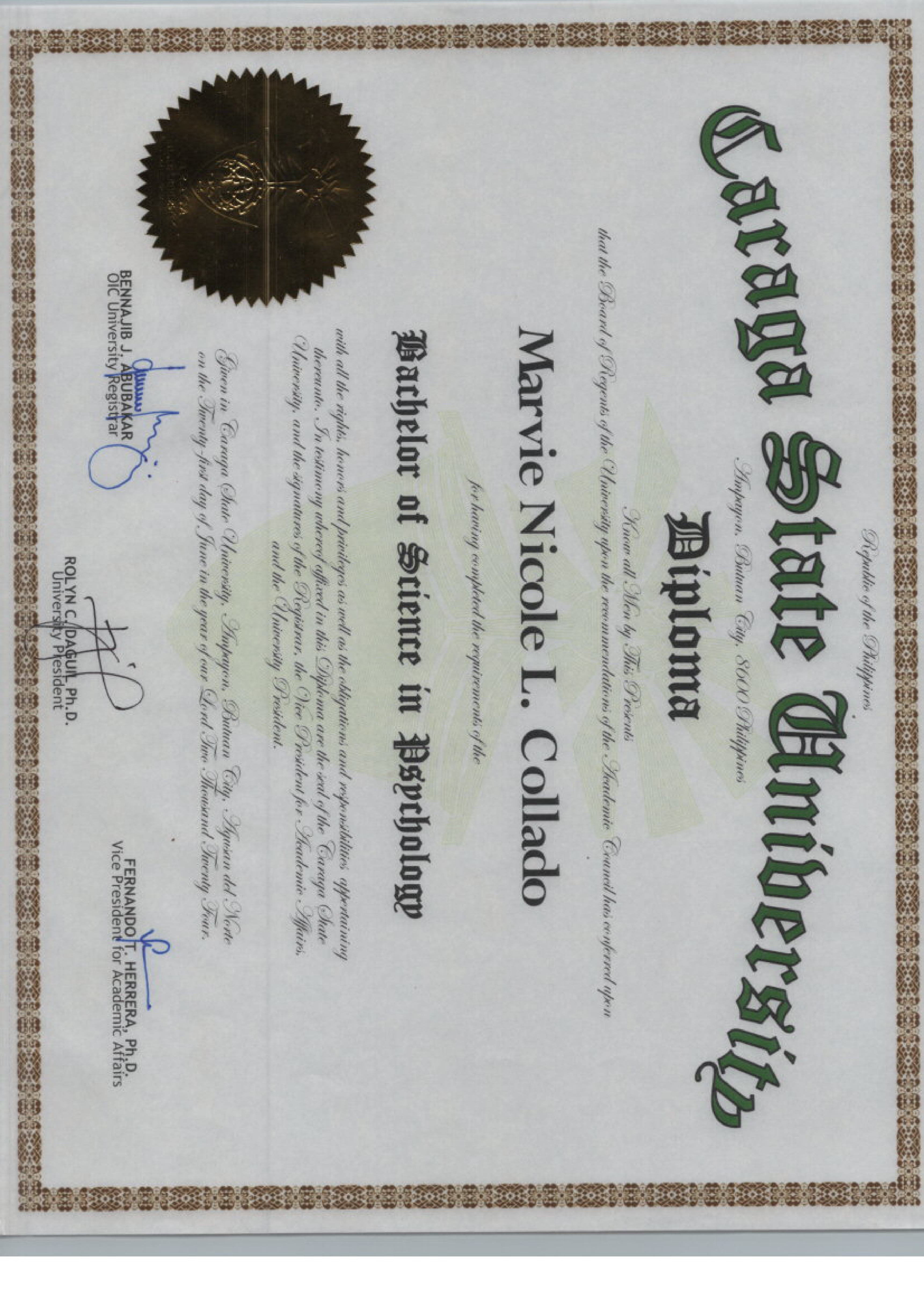 COLLEGE DIPLOMA