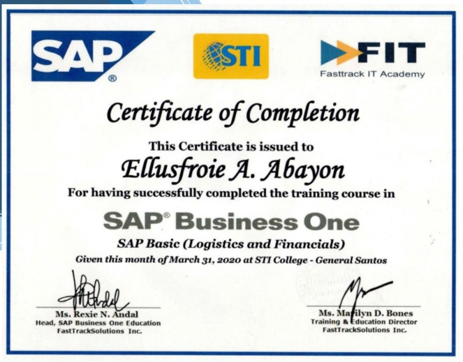 SAP Business One - Logistics and Financials