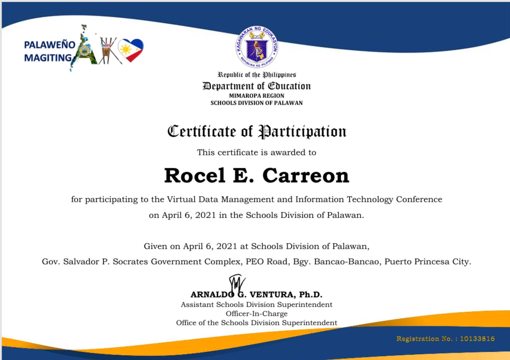 Virtual Data Management and Information Technology Conference