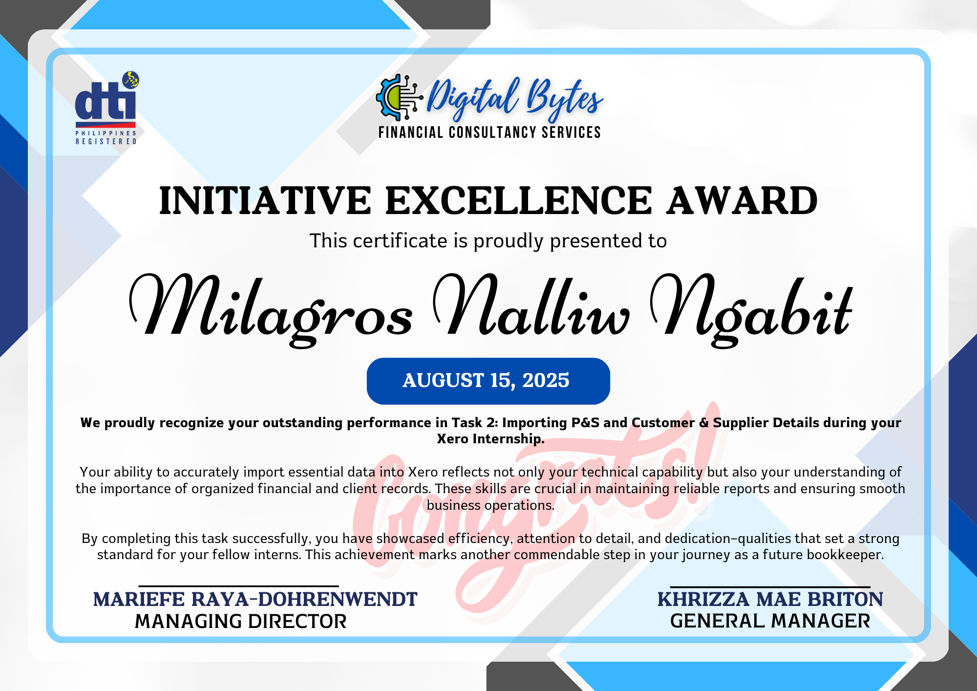 Initiative Excellence Award