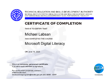 Microsoft Digital Literacy