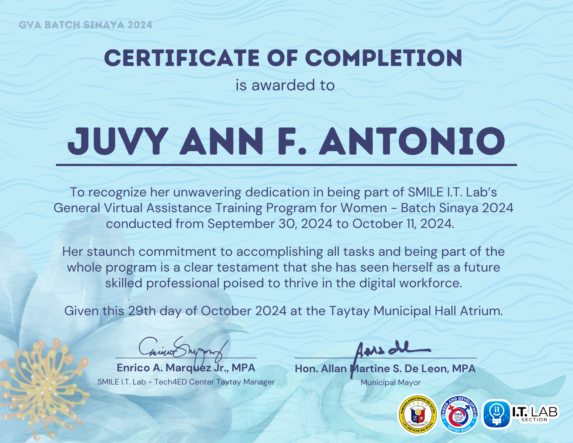 General Virtual Assistance Training