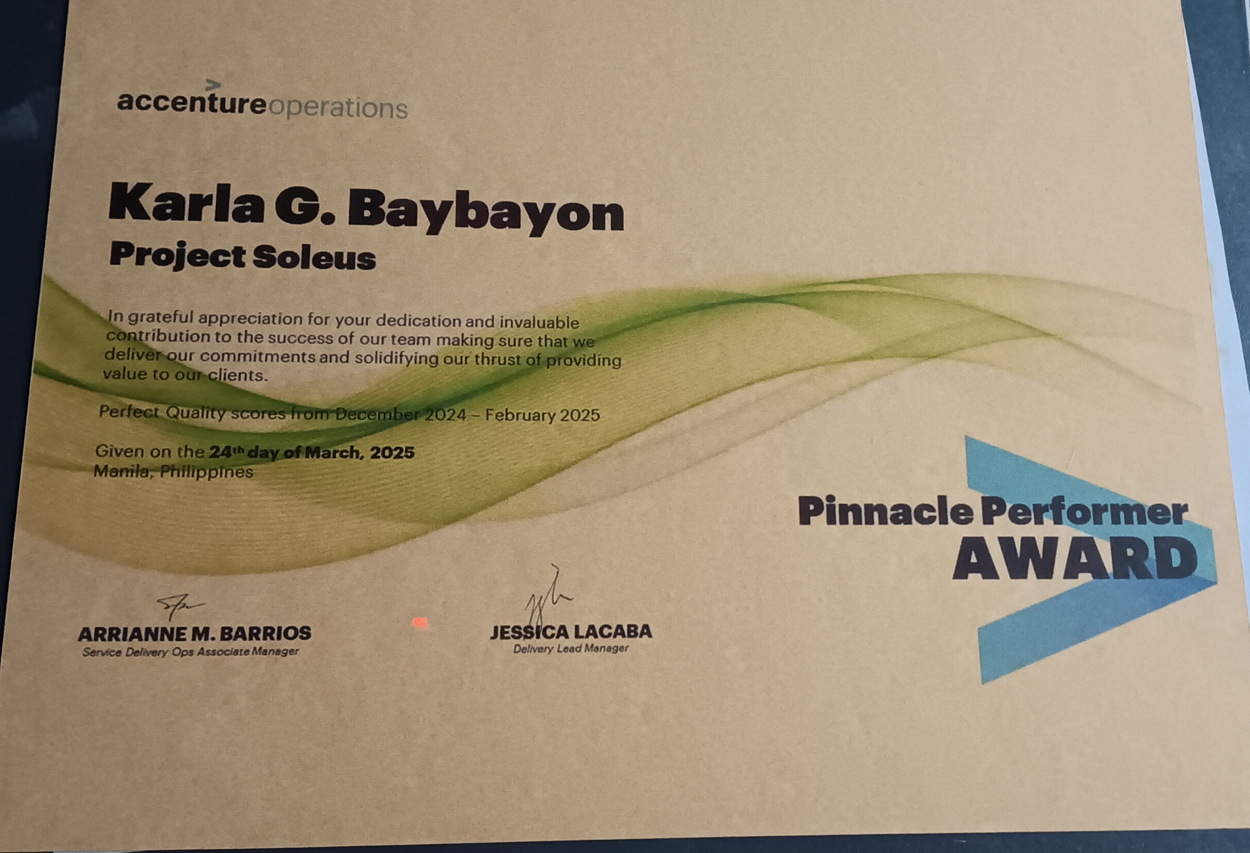 Pinnacle Performer Award