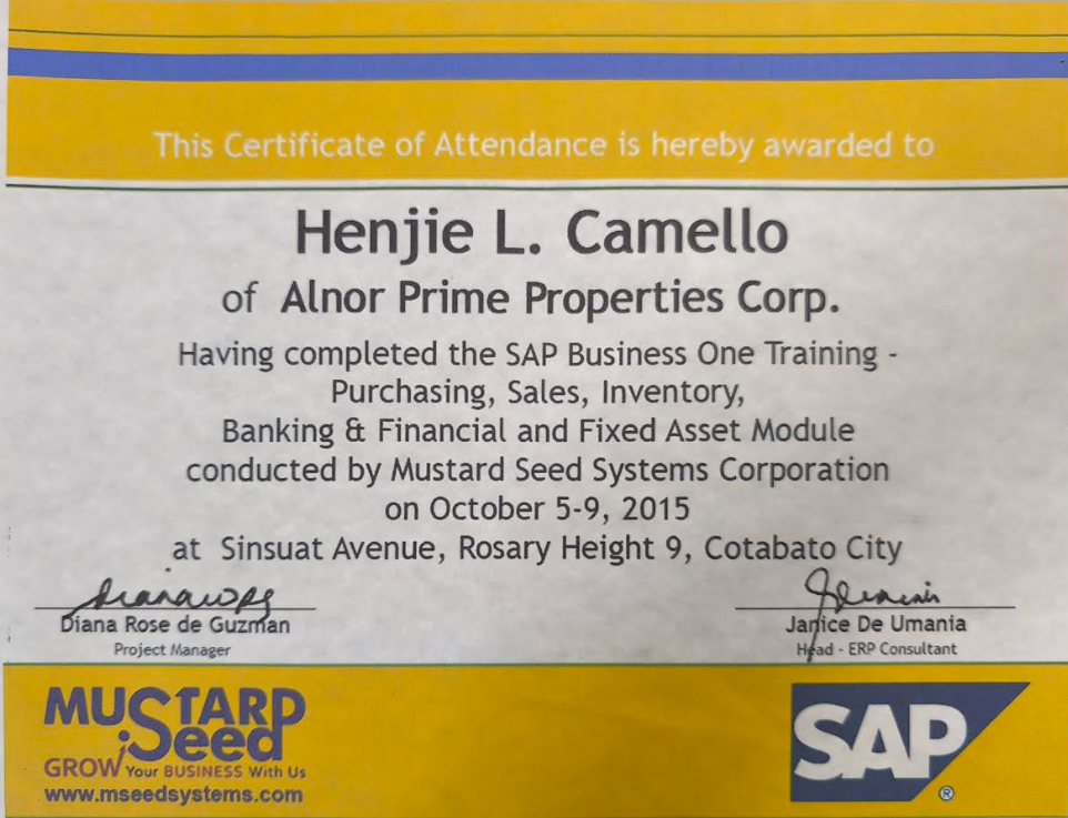 SAP Business One Accounting System