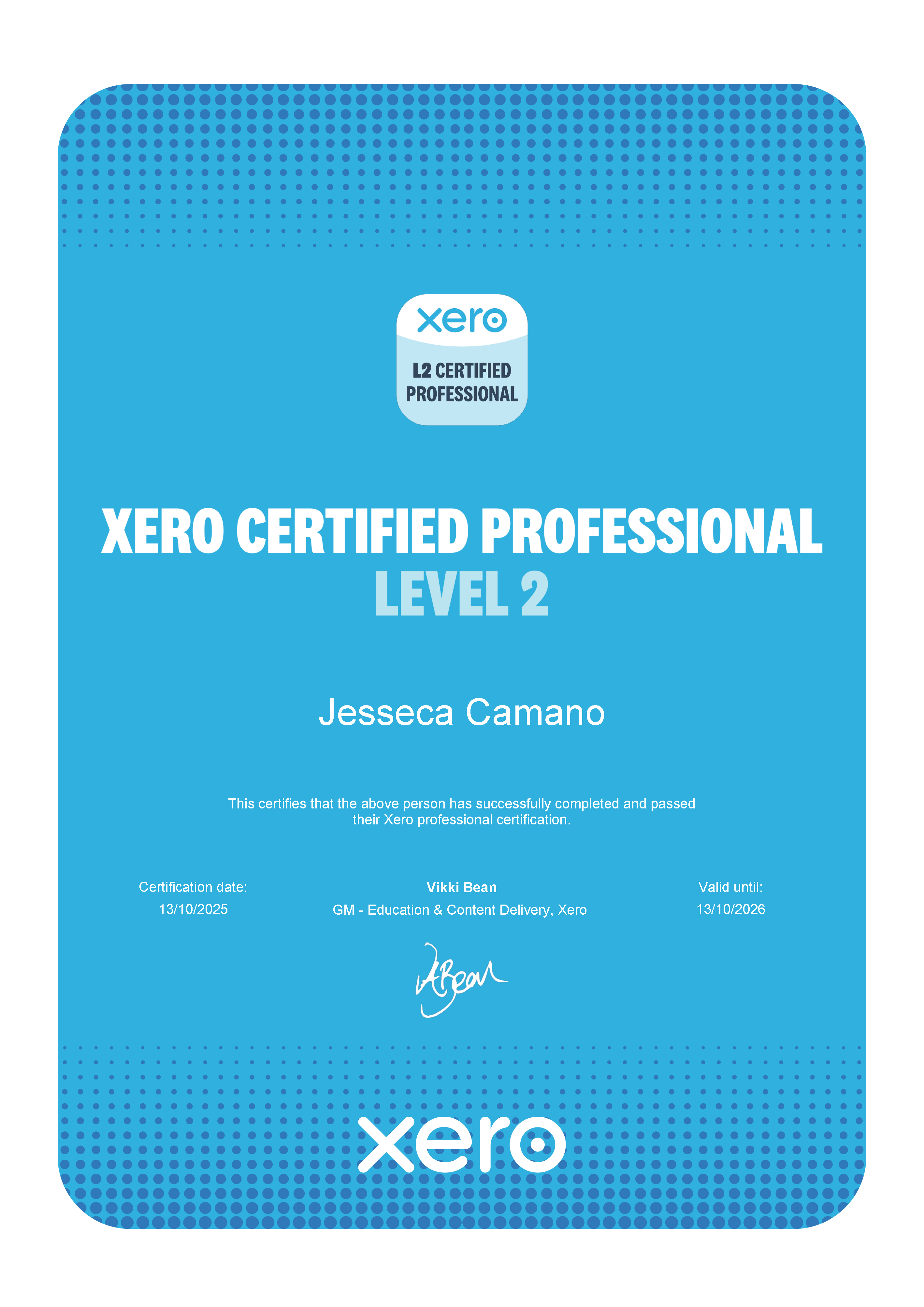 XERO Level 2 Professional