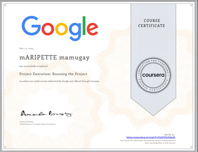 Project Execution: Running the Project