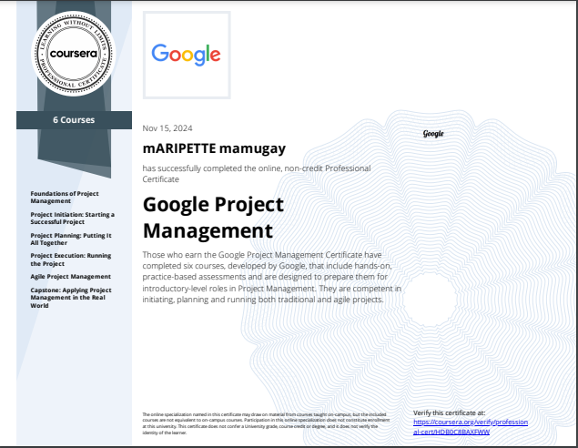 Google Project Management