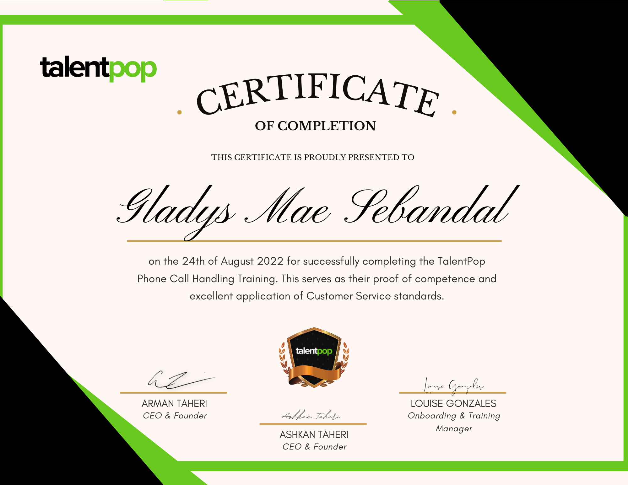 Master of Customer Service Standards