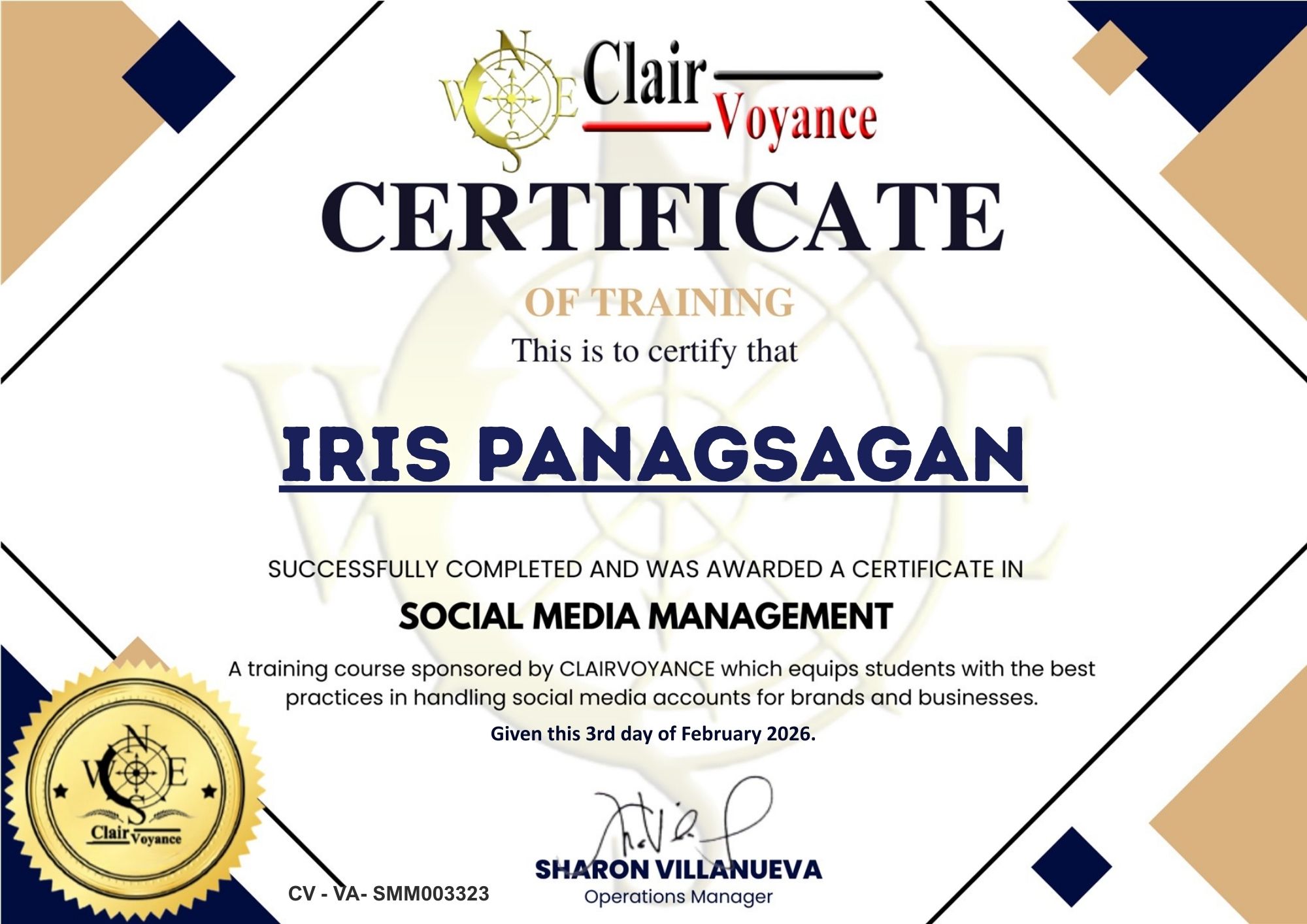 Social Media Management