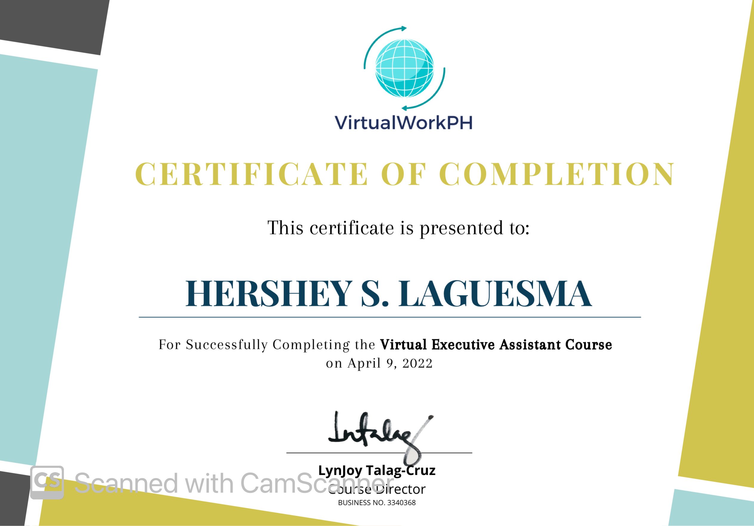 Virtual Executive Assistant