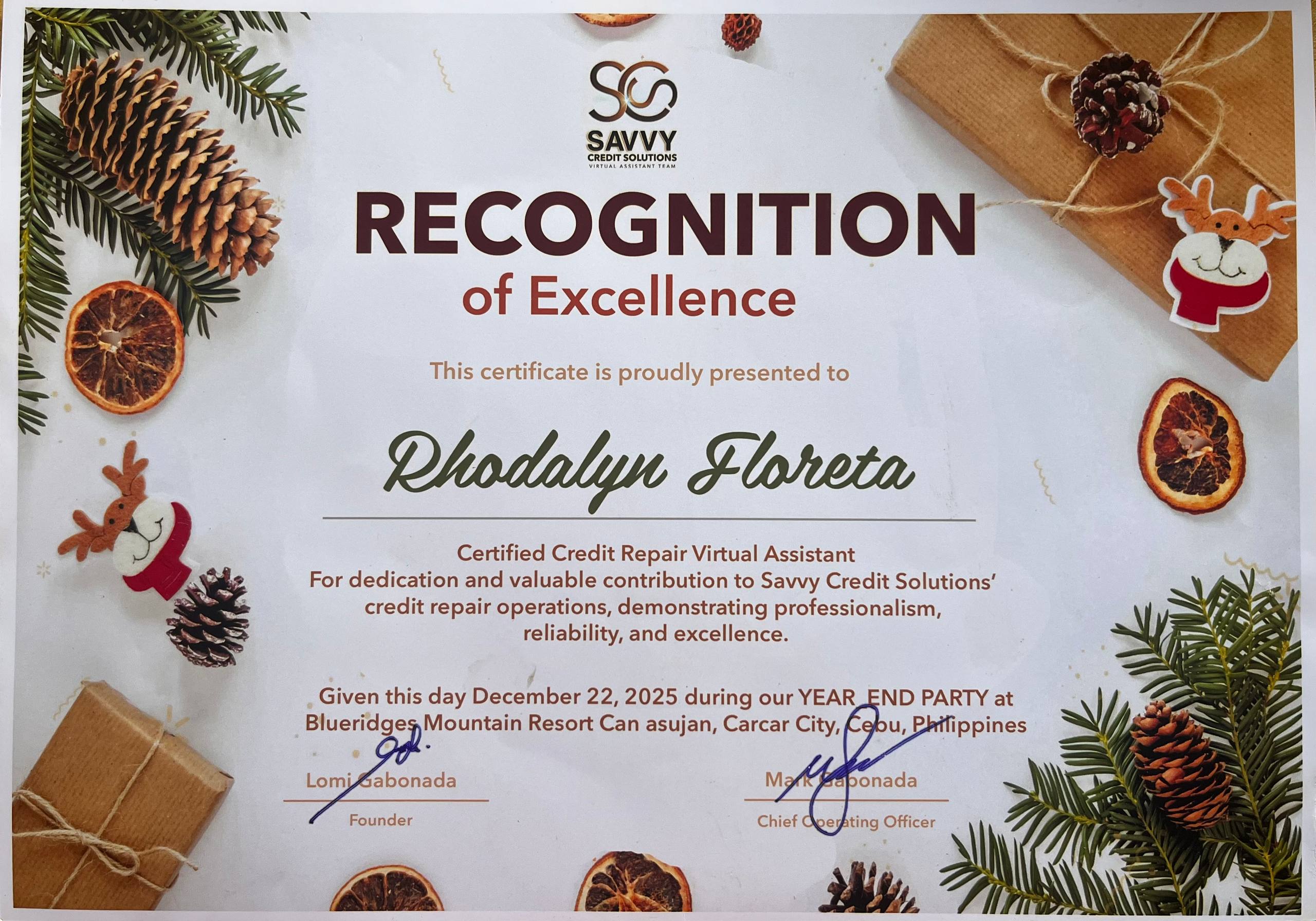 Savvy Credit Solutions VA - Excellence Awardee
