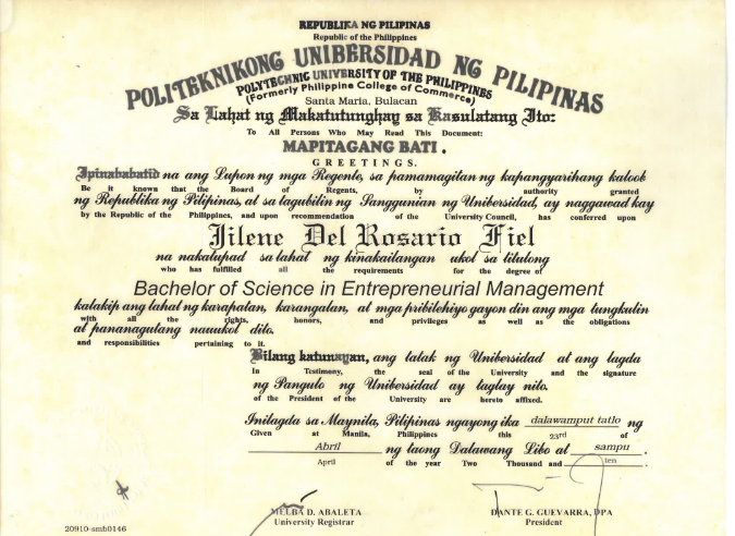 Bachelor's Diploma
