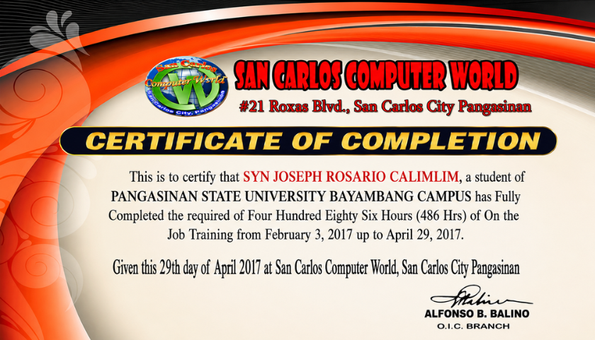 Computer Technician